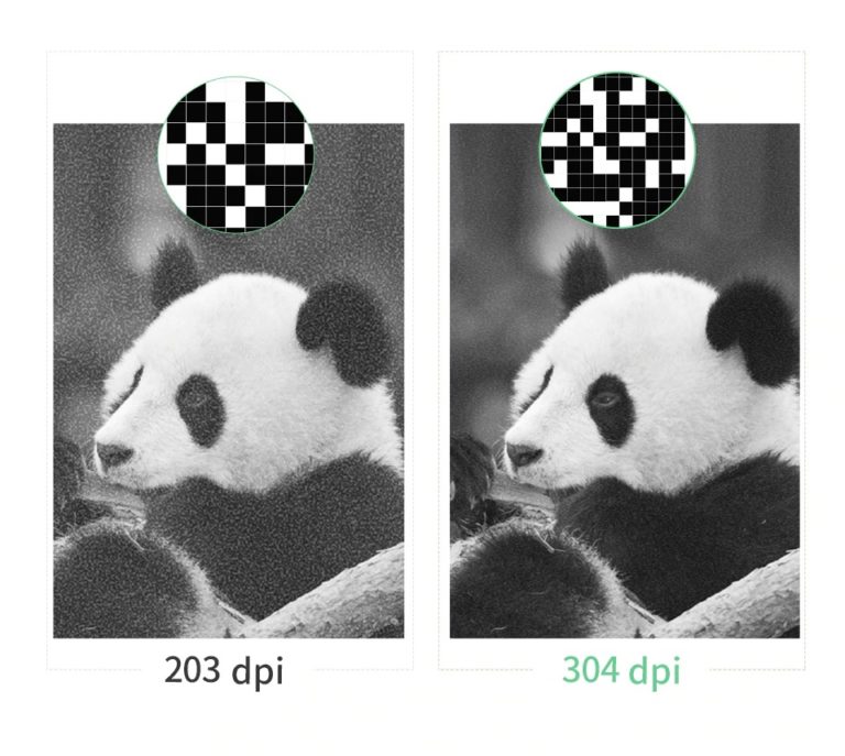 Peripage vs Peripage HD